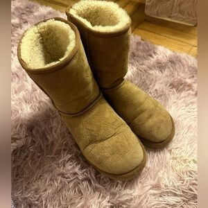 Women’s classic short Uggs in Chestnut size 6